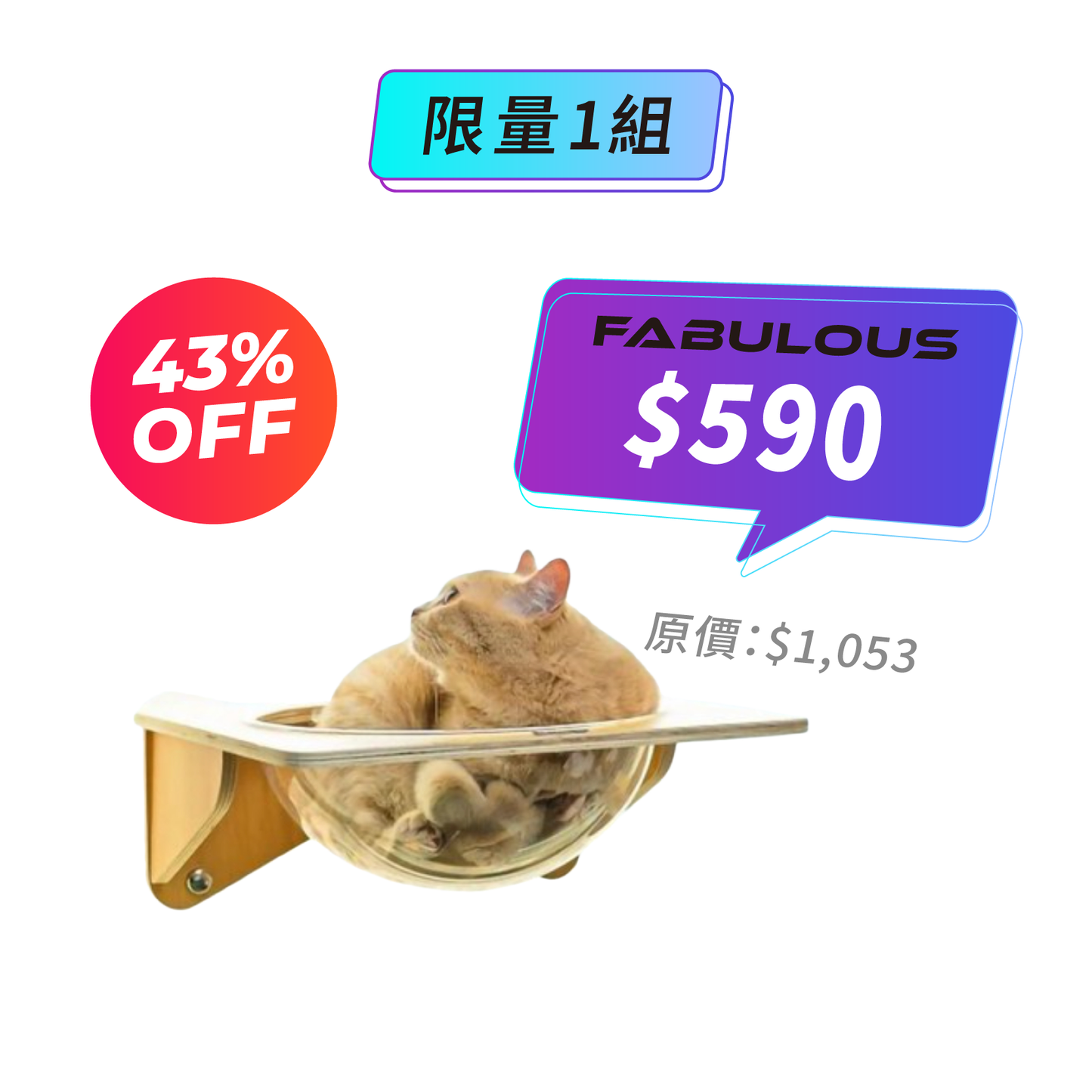 【怪獸部落】吸盤式貓吊床(壓克力款)