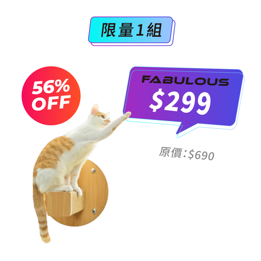 【LitoMON怪獸部落】吸盤式貓階梯 麻柱款