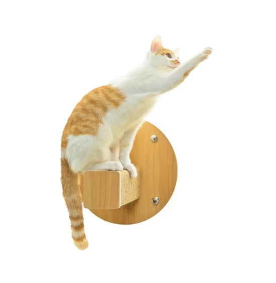 【LitoMON怪獸部落】吸盤式貓階梯 麻柱款