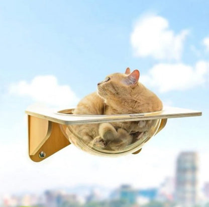 【怪獸部落】吸盤式貓吊床(壓克力款)