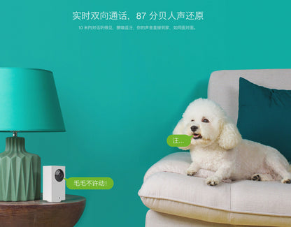 【Xiaomi小米】大方智能攝影機