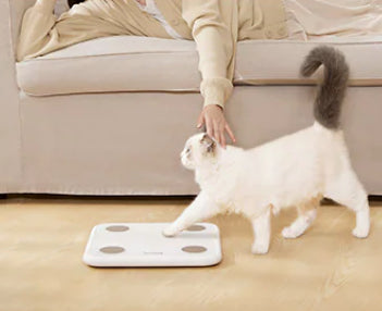 【雲麥Yunmai】智慧體脂秤3