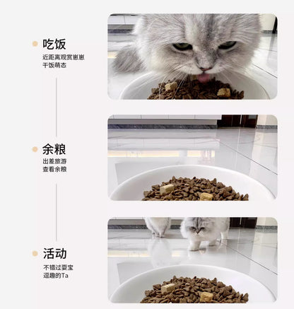 【喵享家】真空智能餵食器