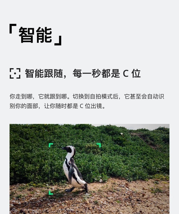 【DJI】OSMO POCKET 手持口袋攝影機