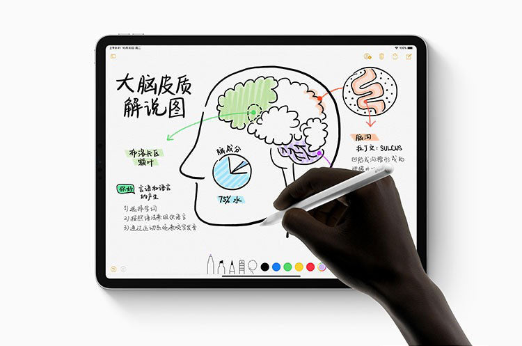 【Apple】iPad Pro（12.9 英寸，第 3 代，USB-C）