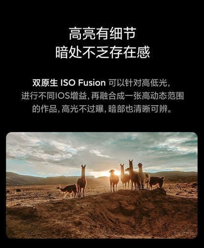 【Xiaomi小米】小米 11 Pro (可免費代刷Pixel OS)